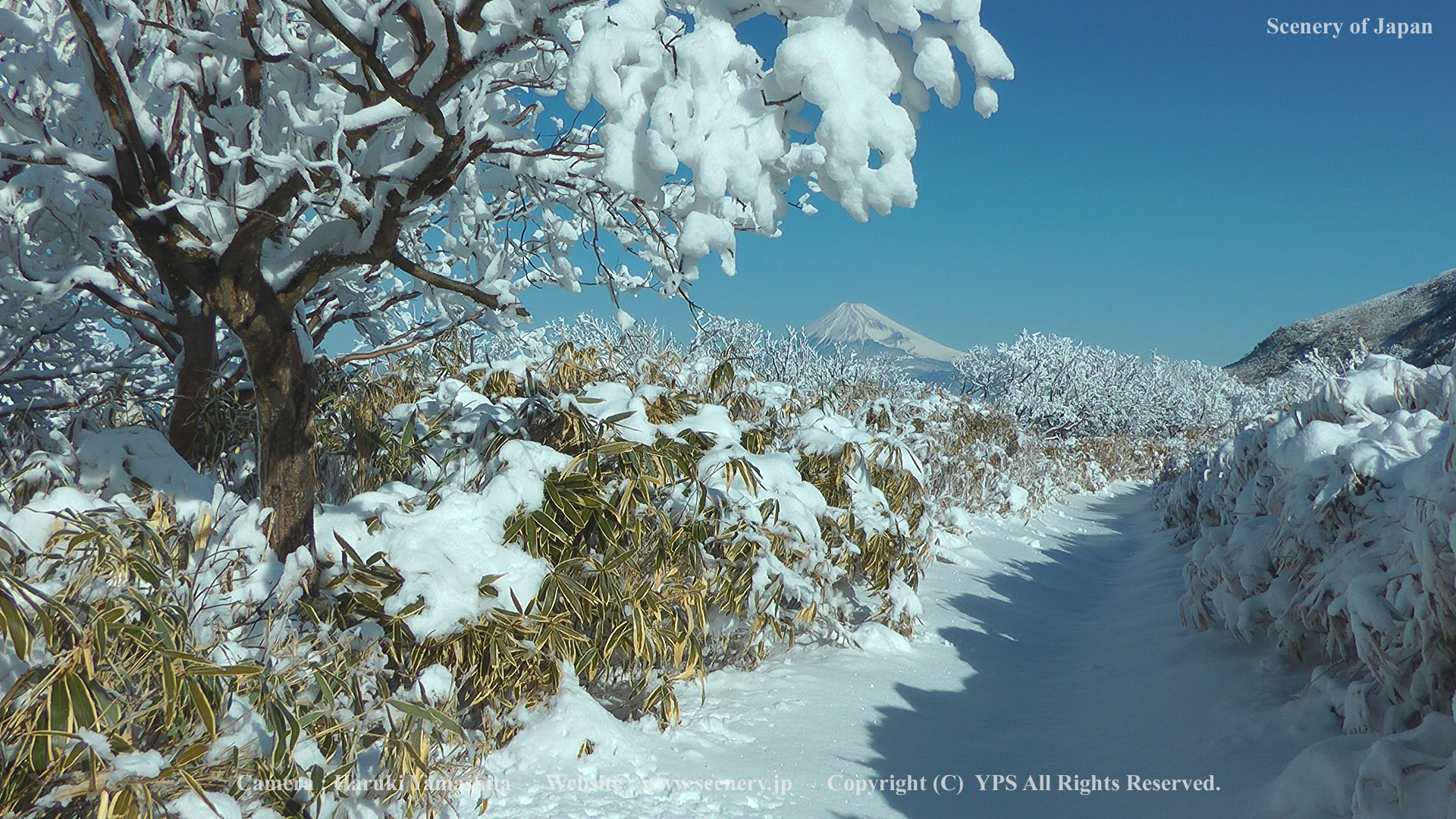 冬の風景 写真 画像 Scenery Of Japan